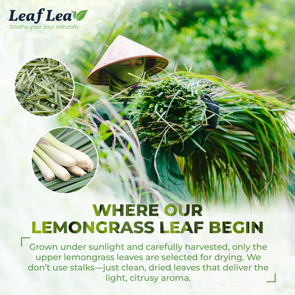 LeafLea etiqueta indicando ingrediente único y pureza