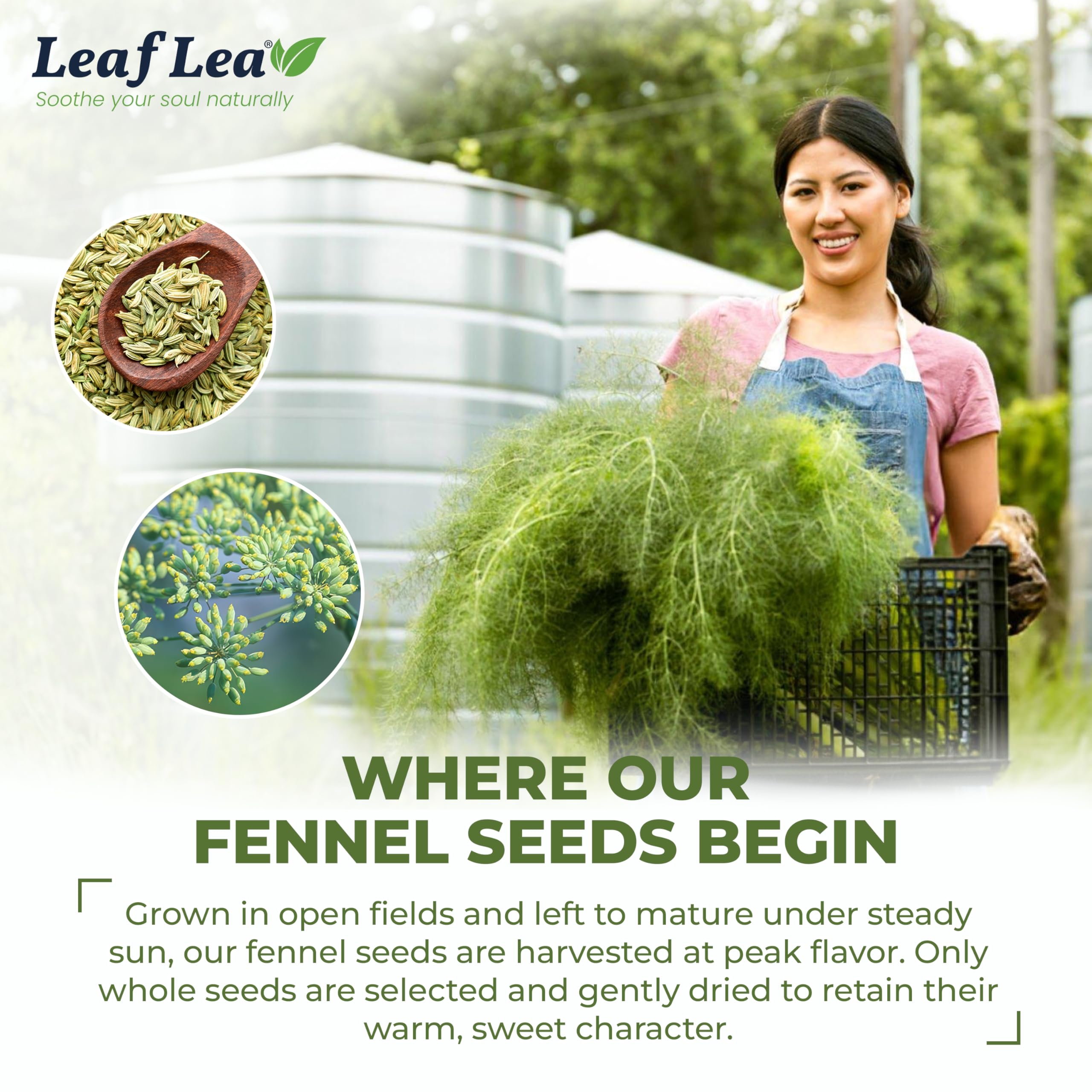 LeafLea envase junto a semillas sueltas mostrando origen y contenido único