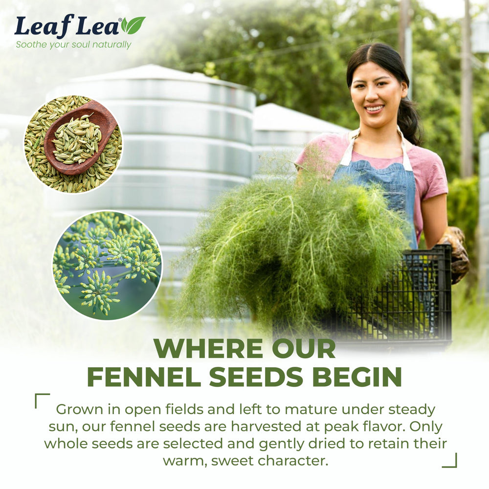 LeafLea envase junto a semillas sueltas mostrando origen y contenido único