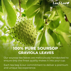 LeafLea hojas secas textura visible que conservan aroma y color natural