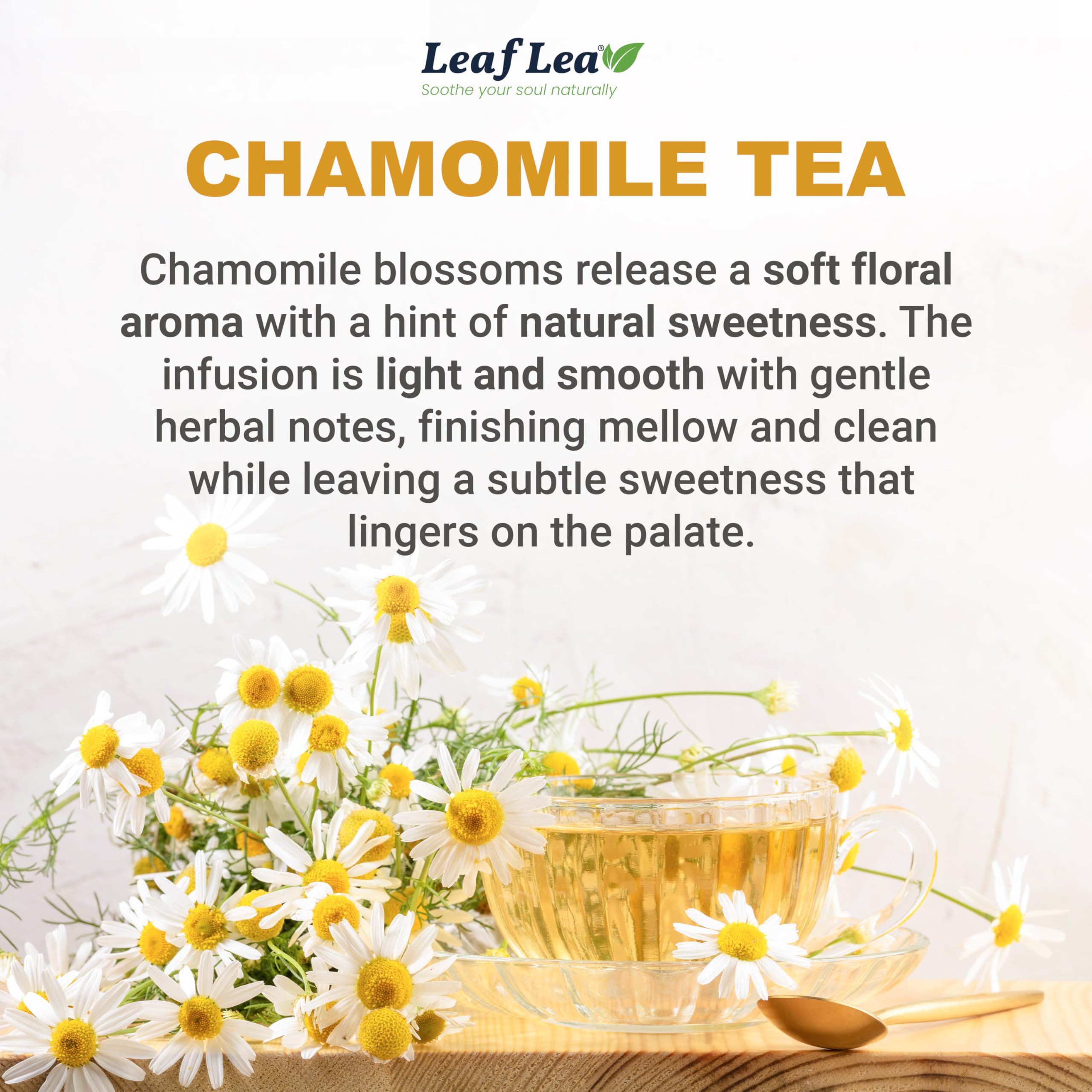 LeafLea textura de flores de manzanilla en primer plano, aroma preservado