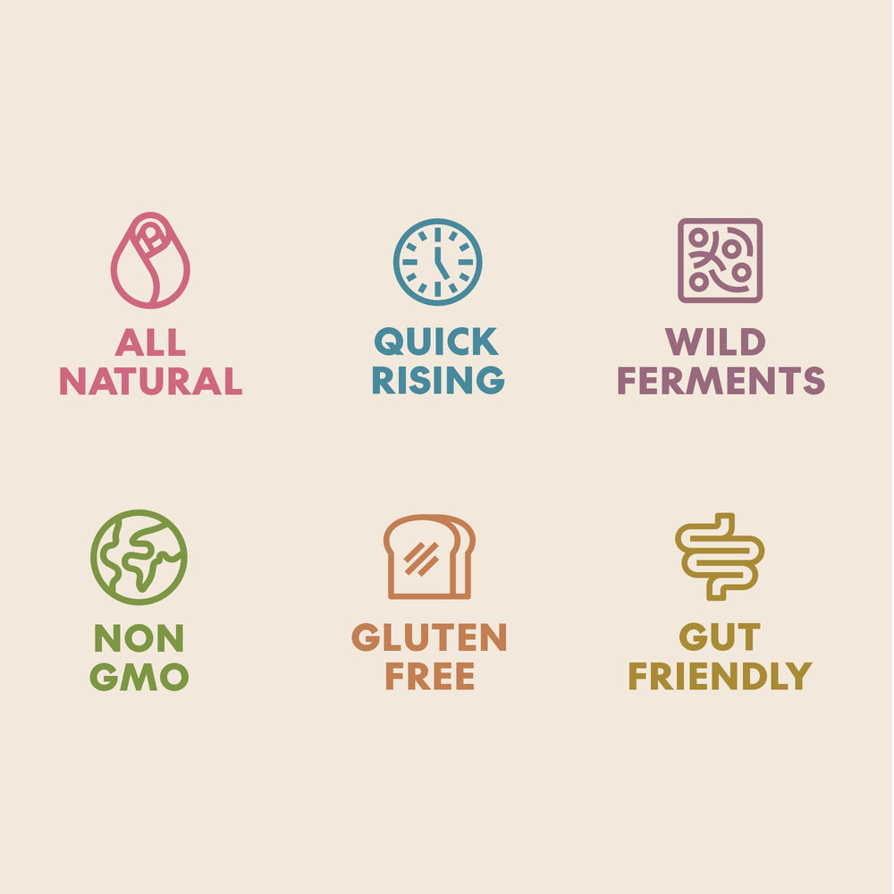Leaven Foods manos amasando masa esponjosa para mejor fermentación