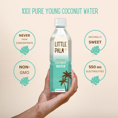 Little Palm junto a una palma para visualizar tamaño de la botella