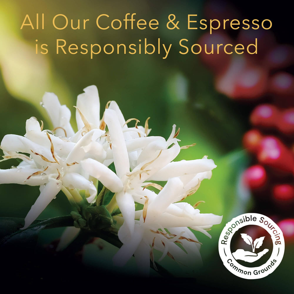 L'OR cápsula colocada en porta de cafetera indicando compatibilidad y facilidad