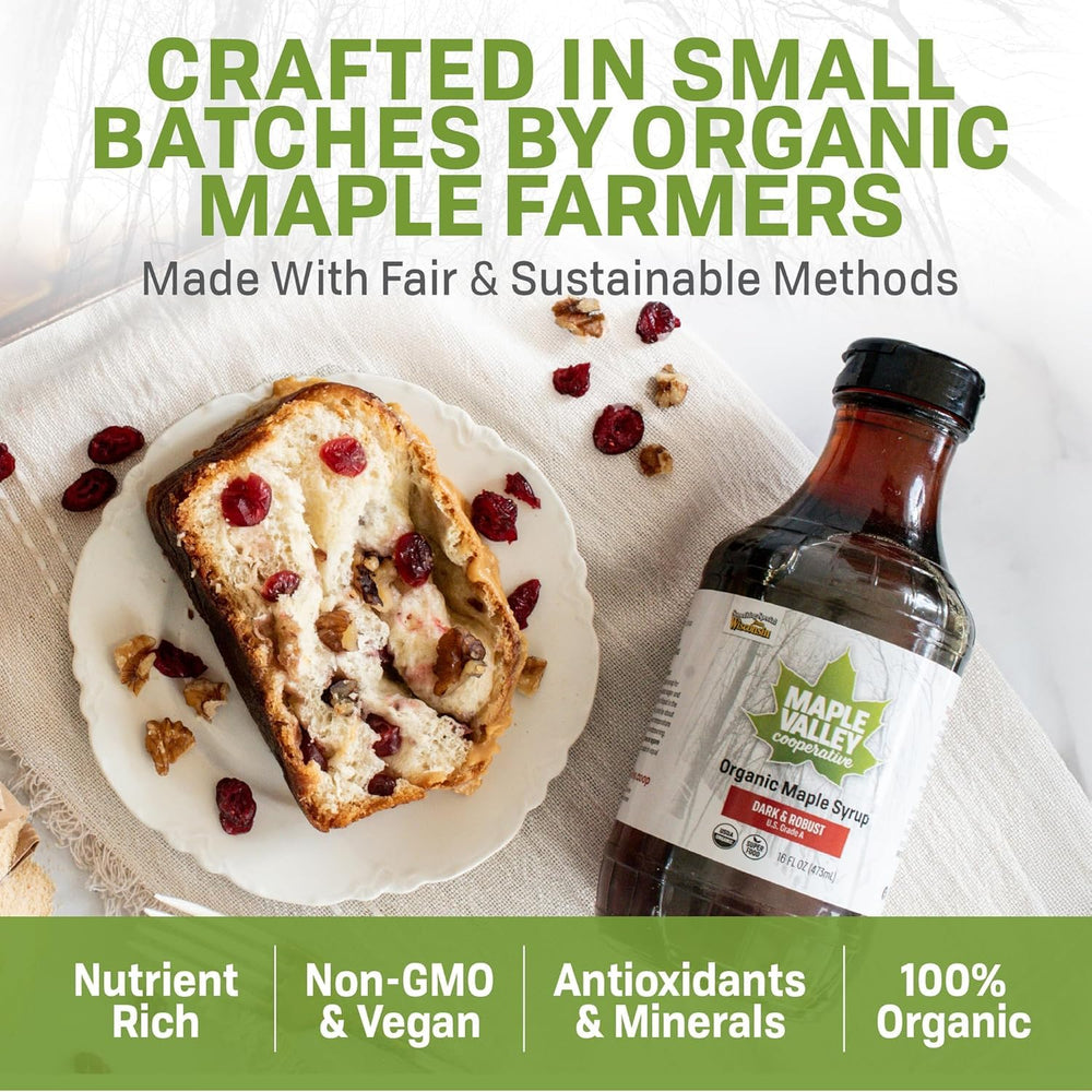 Maple Valley envase plástico BPA-free con tapa sellada segura