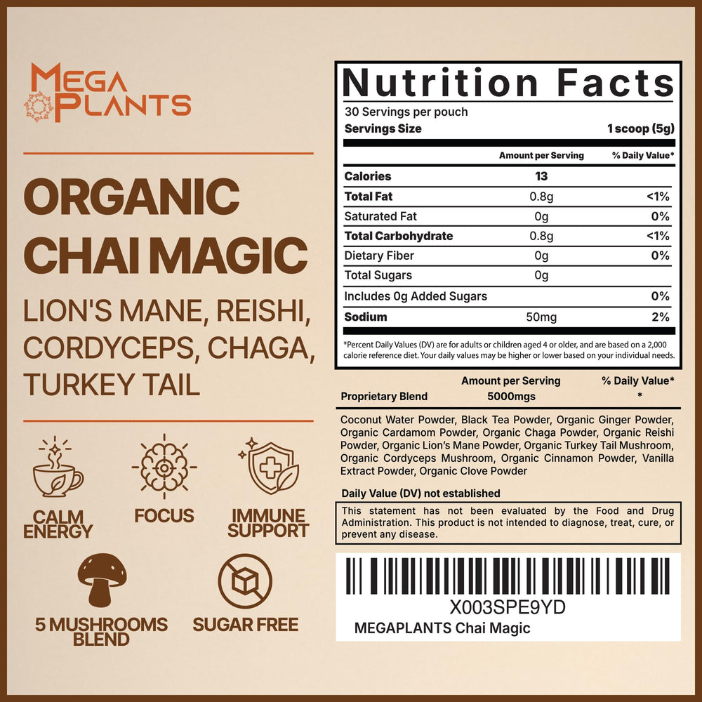 MEGAPLANTS textura en polvo del Mushroom Chai muestra mezcla fina y cremosa