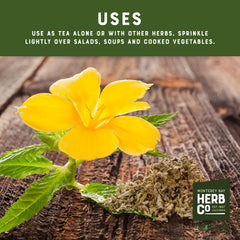 MONTEREY BAY HERB CO damiana espolvoreada en ensalada aporta sabor herbal