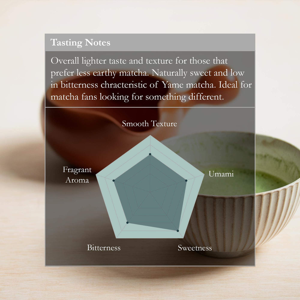 Naoki Matcha taza con usucha espumosa preparada, sabor dulce realzado