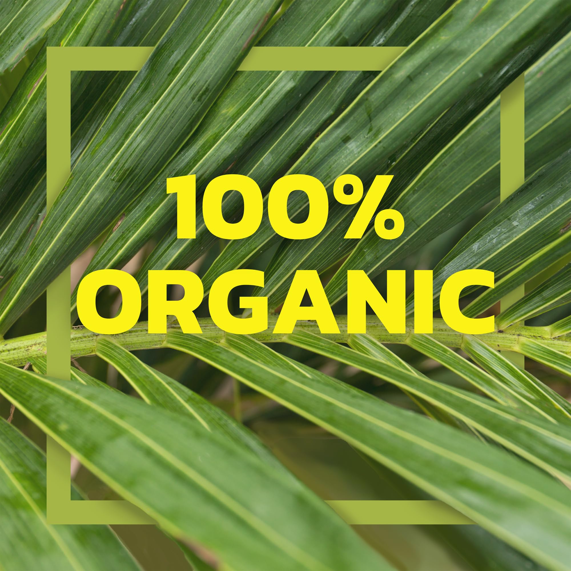 Native Forest polvo añadido a café aporta sabor y alternativa sin lácteos