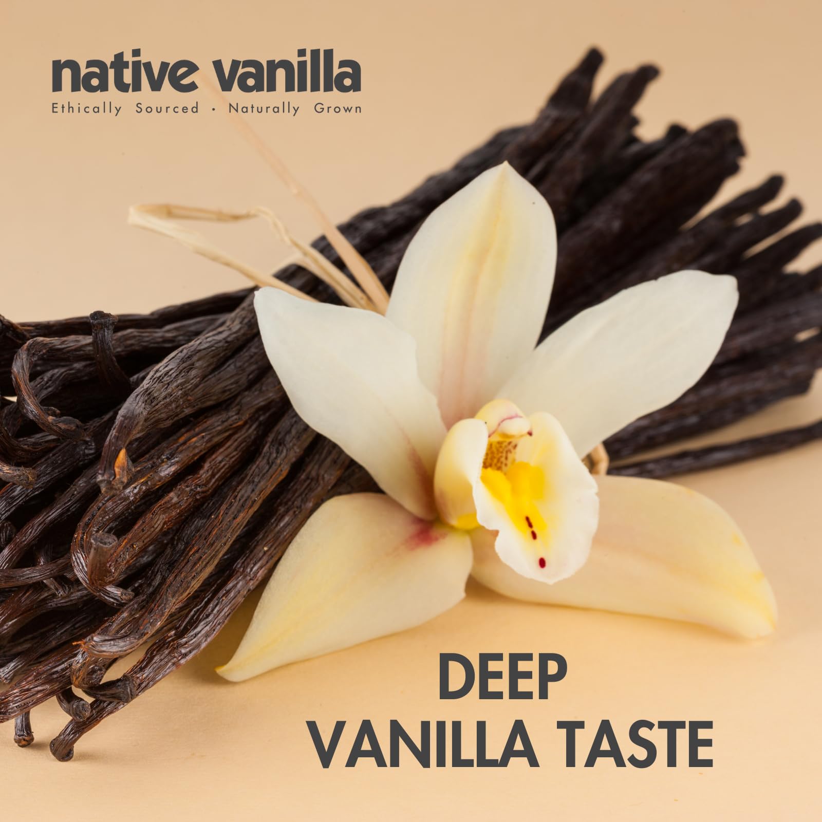 Native Vanilla aplicado en helado casero, realza sabor y aspecto visual del postre