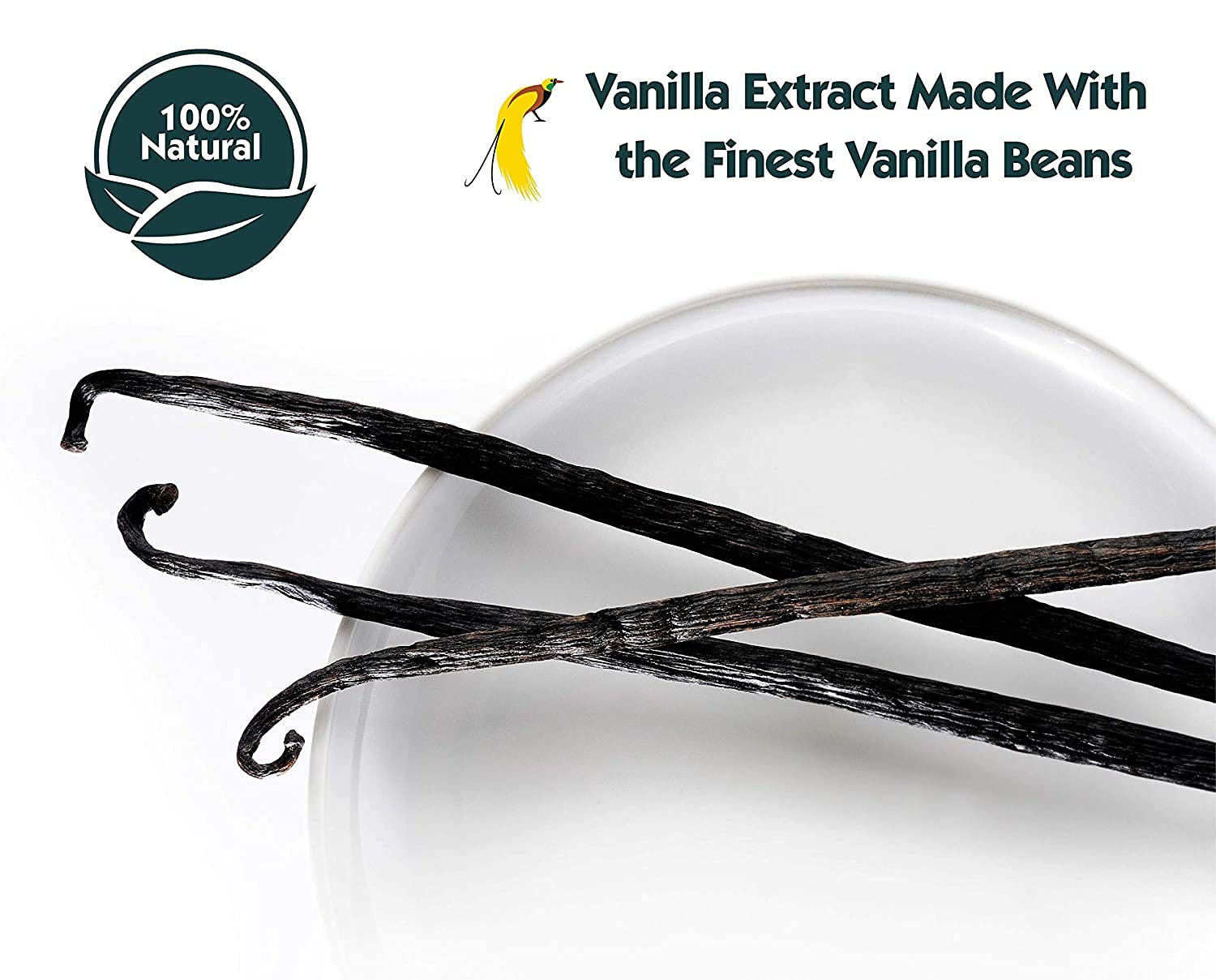 Native Vanilla comparación de tamaño 32 oz para uso profesional y doméstico