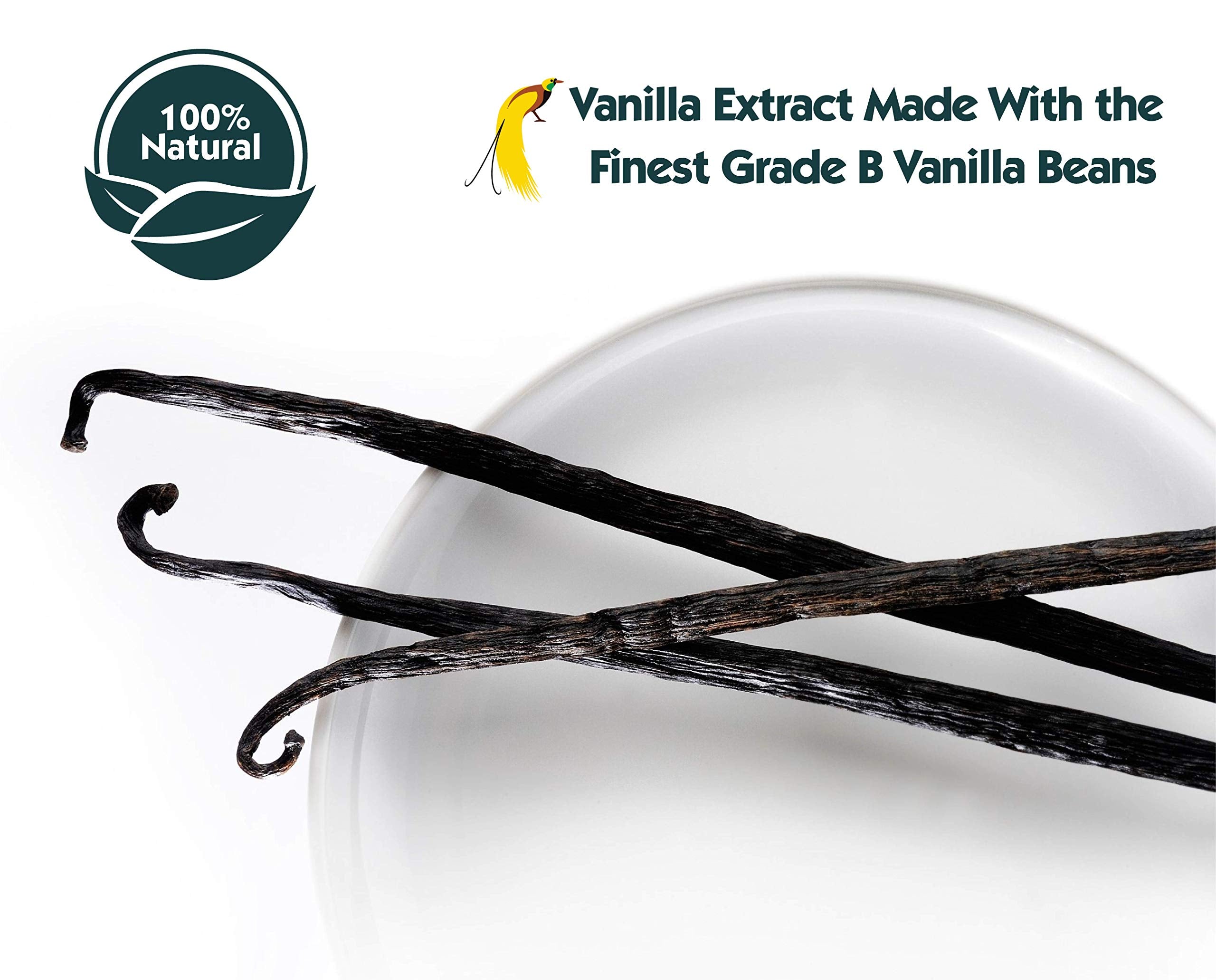 Native Vanilla comparación de tamaño 16 oz junto a utensilios de cocina