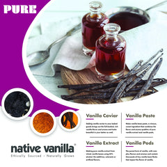 Native Vanilla frasco macerando para extracto casero con intenso perfil aromático
