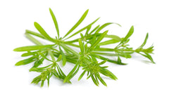 Nature Tea paquete de 4 oz junto a balanza y mano para comparar escala y facilitar medición casera