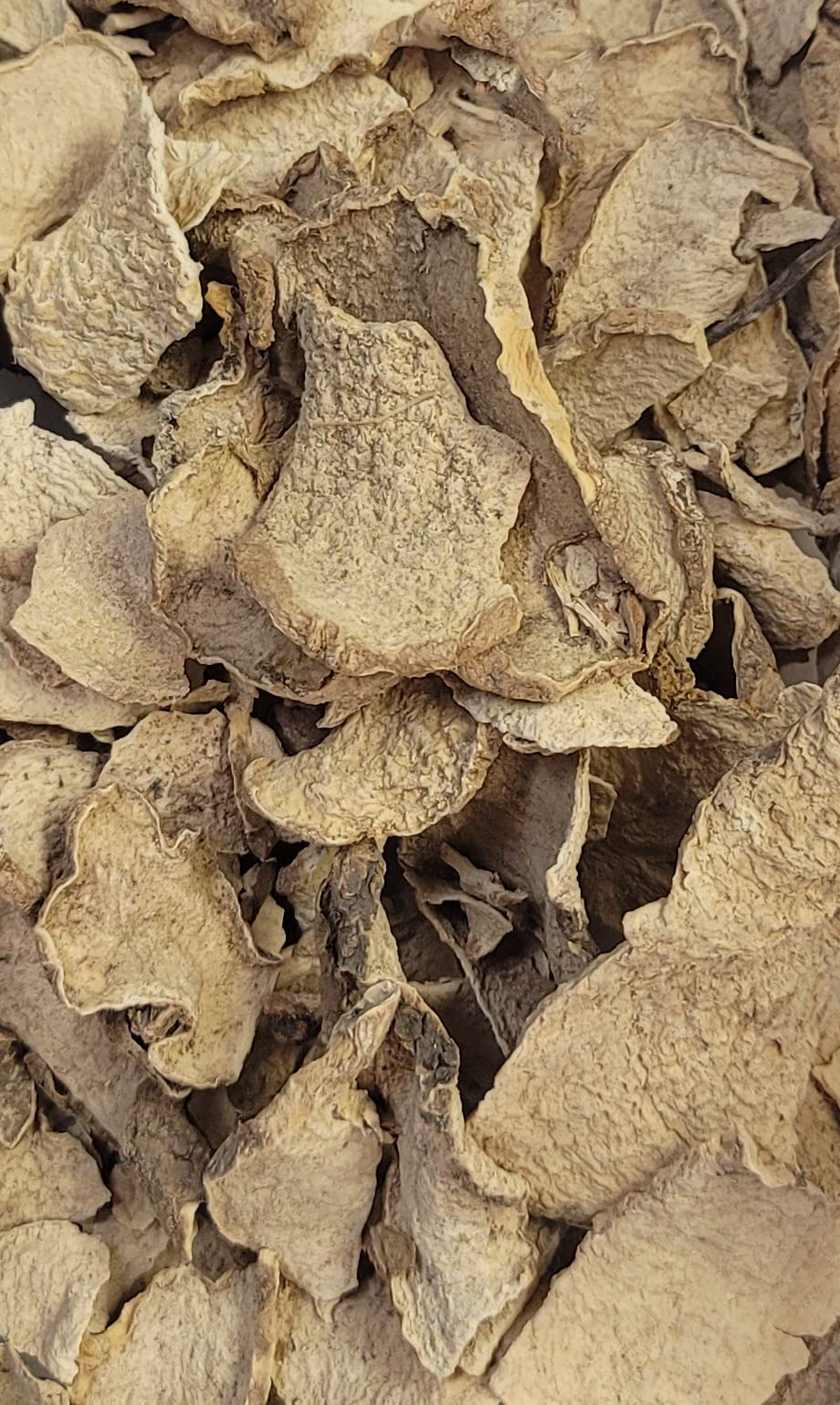Naturejam wereque etiqueta que indica Ibervillea sonorae y recolección silvestre