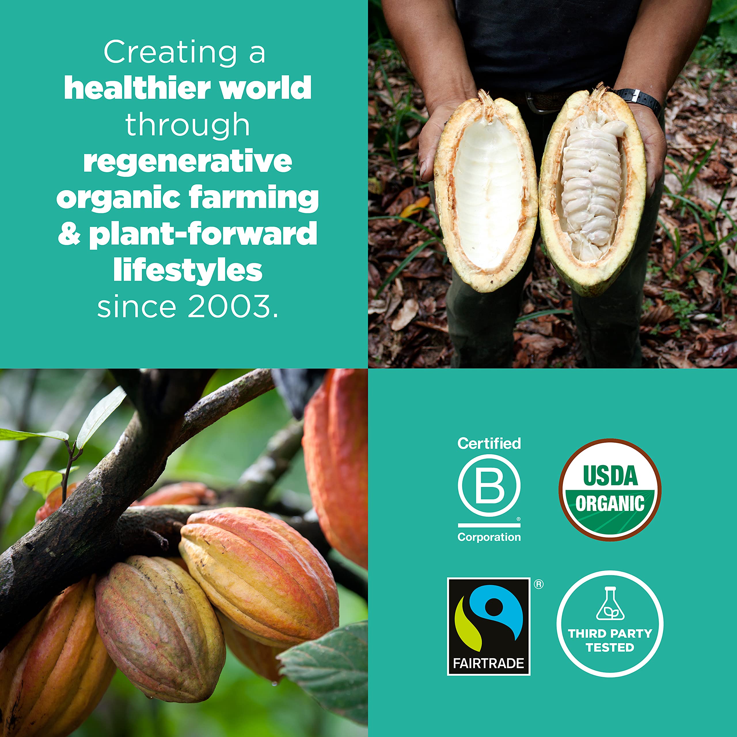 Navitas Organics granos de cacao fermentados antes del prensado
