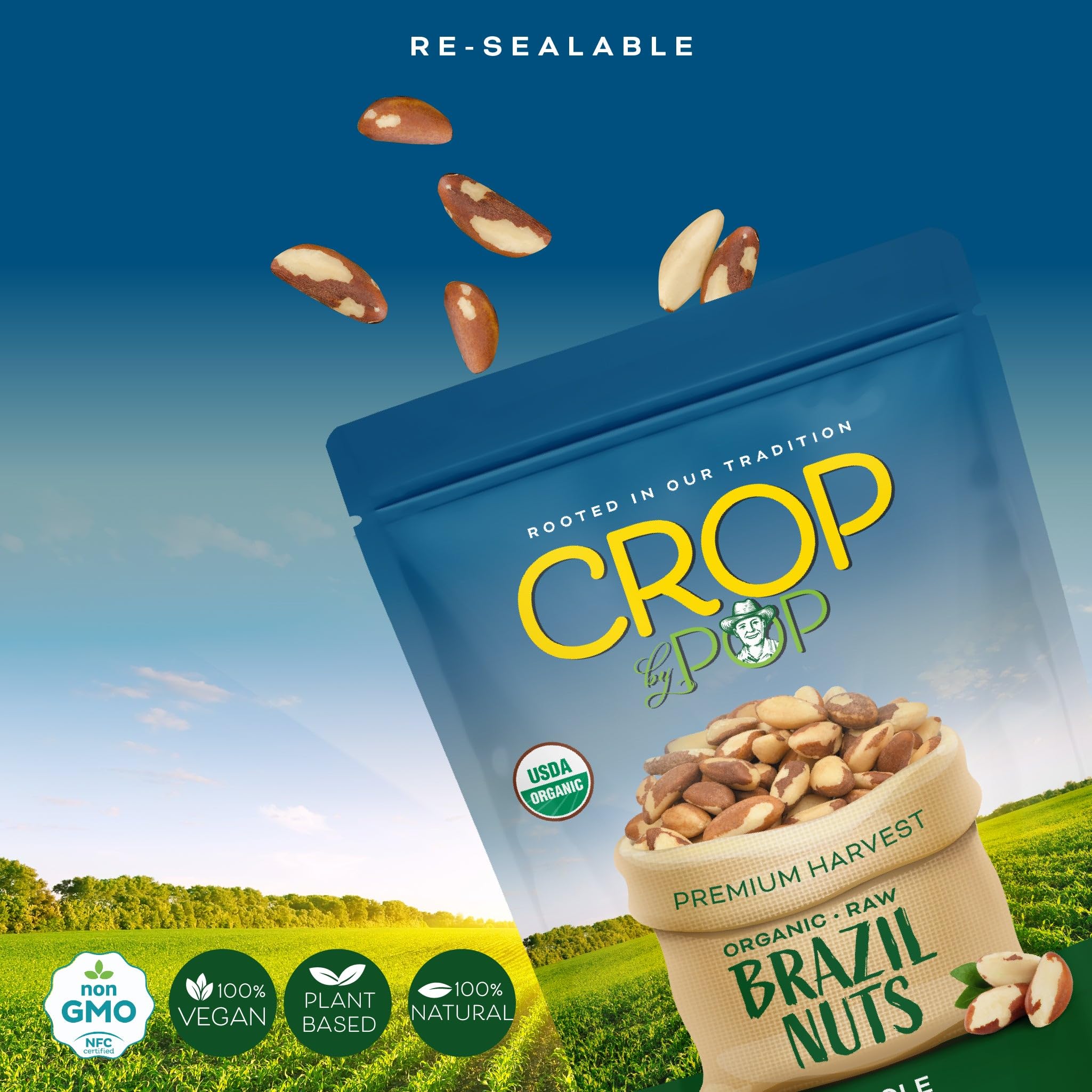 Nut Cravings mano sosteniendo nueces muestra control de ración saludable