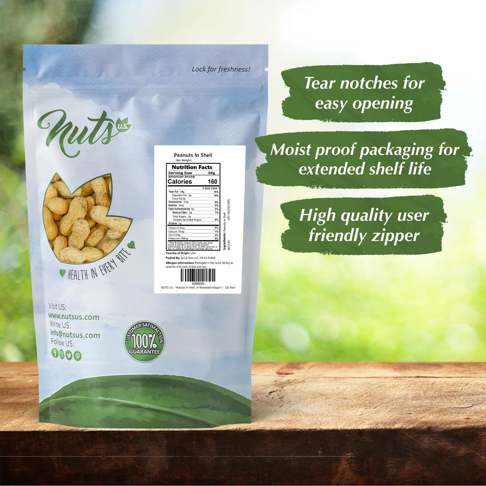 NUTS U.S. mano sosteniendo cacahuetes para apreciar tamaño Virginia grande