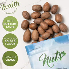 NUTS U.S. pecanas abiertas mostrando corazón mantecoso y uso culinario