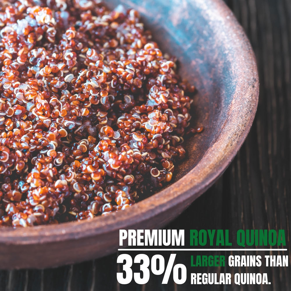 OA QUINOA comparación de tamaño de grano Royal contra quinoa estándar para visual