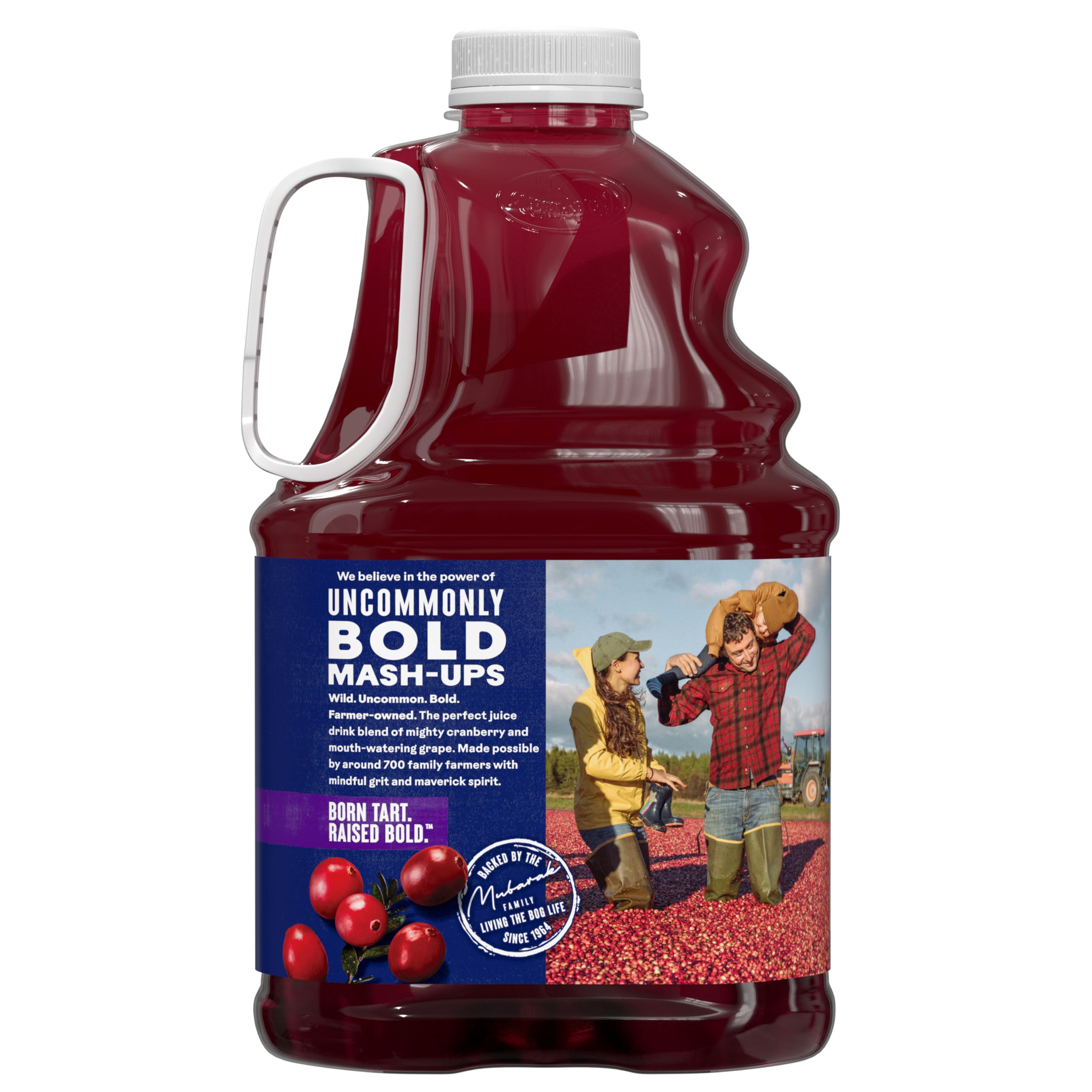 Ocean Spray polos helados caseros hechos con la bebida Cran-Grape