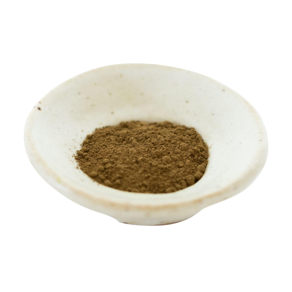 Ocha & Co. lata en ambiente lifestyle que sugiere ritual diario y calidad