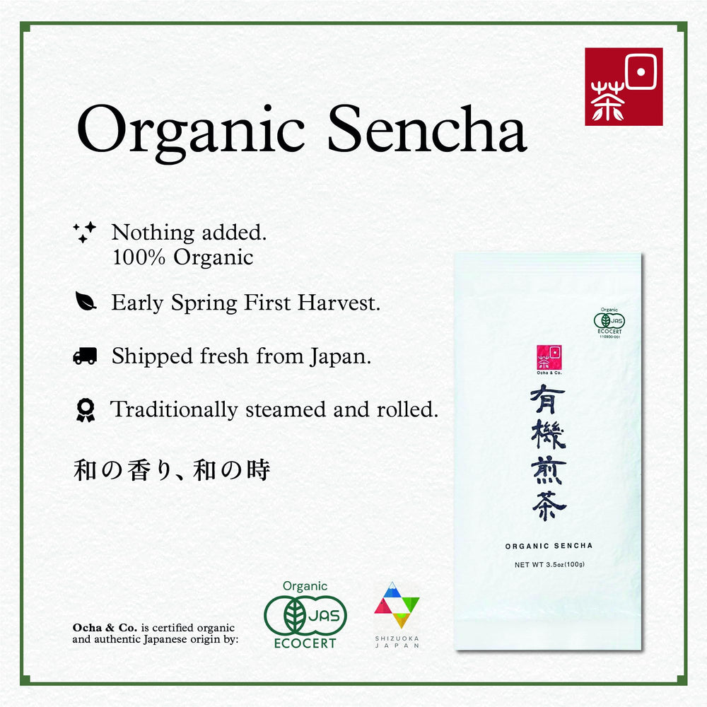Ocha & Co. hojas enteras de Sencha en primer plano mostrando textura y calidad