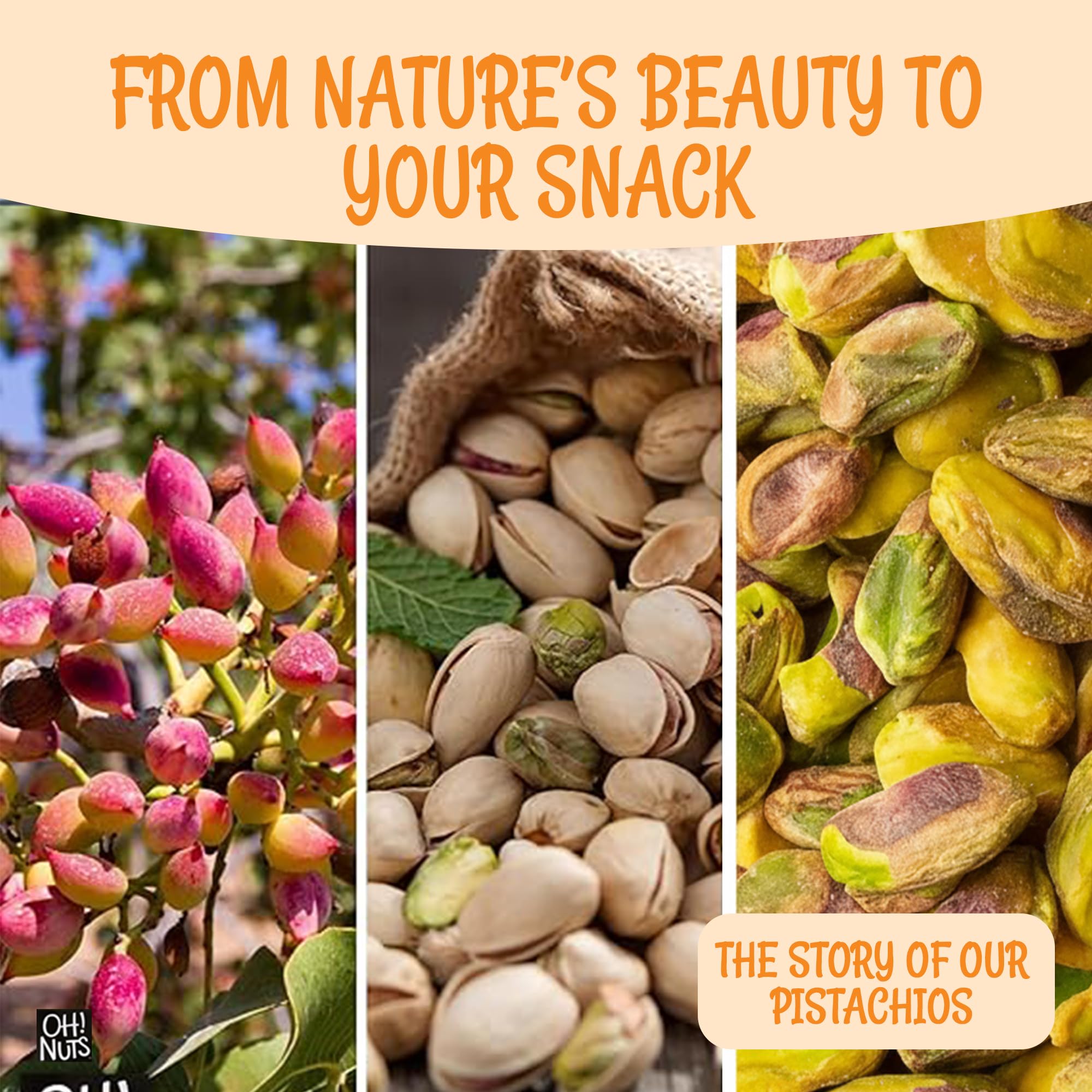 Oh! Nuts pistachos troceados en receta aportan sabor y textura