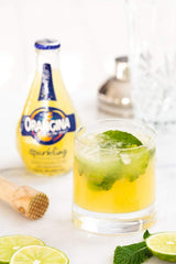 Pack de 24 latas Orangina listo para eventos y almacenamiento