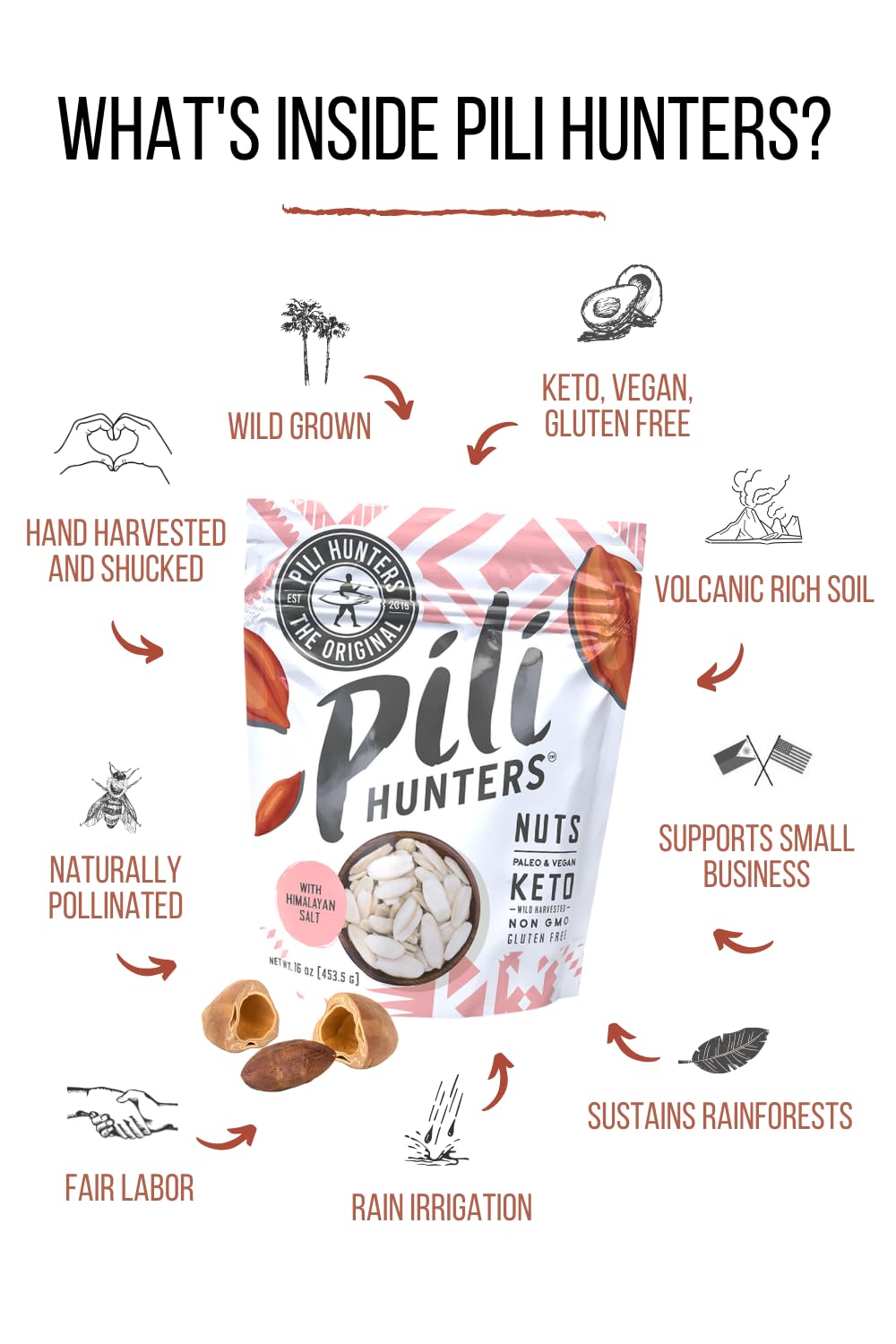 Pili Hunters mano sosteniendo pili nuts para comparar tamaño y escala real