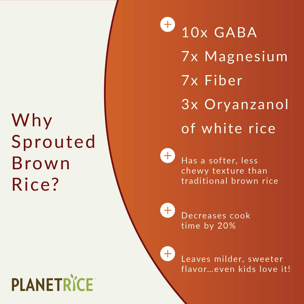 Planet Rice arroz cocido en plato mostrando textura suave y apetecible