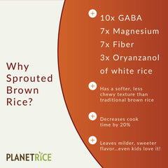 Planet Rice arroz cocido en plato mostrando textura suave y apetecible