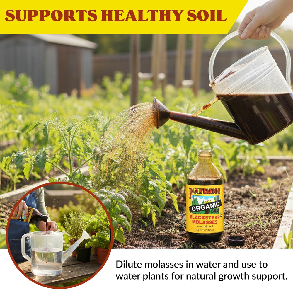 Plantation melaza diluida en agua para jardinería alimentando microorganismos del suelo