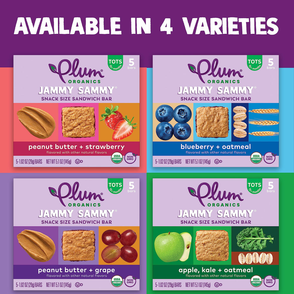 Plum Organics picnic familiar con las barritas como snack conveniente