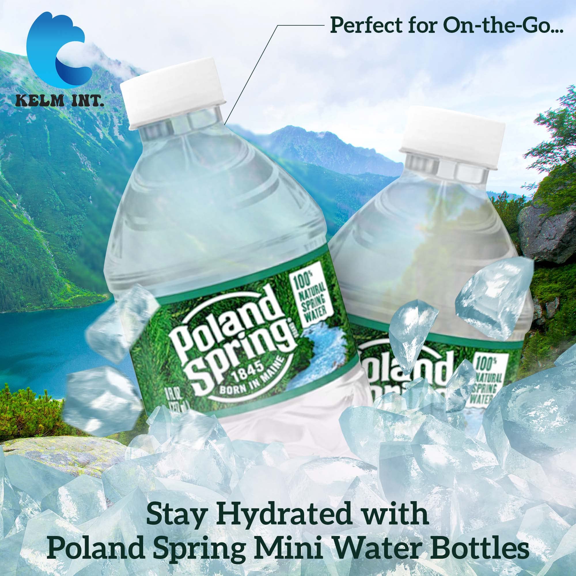 Kelm Int. Poland Spring botella en mano para mostrar tamaño portátil