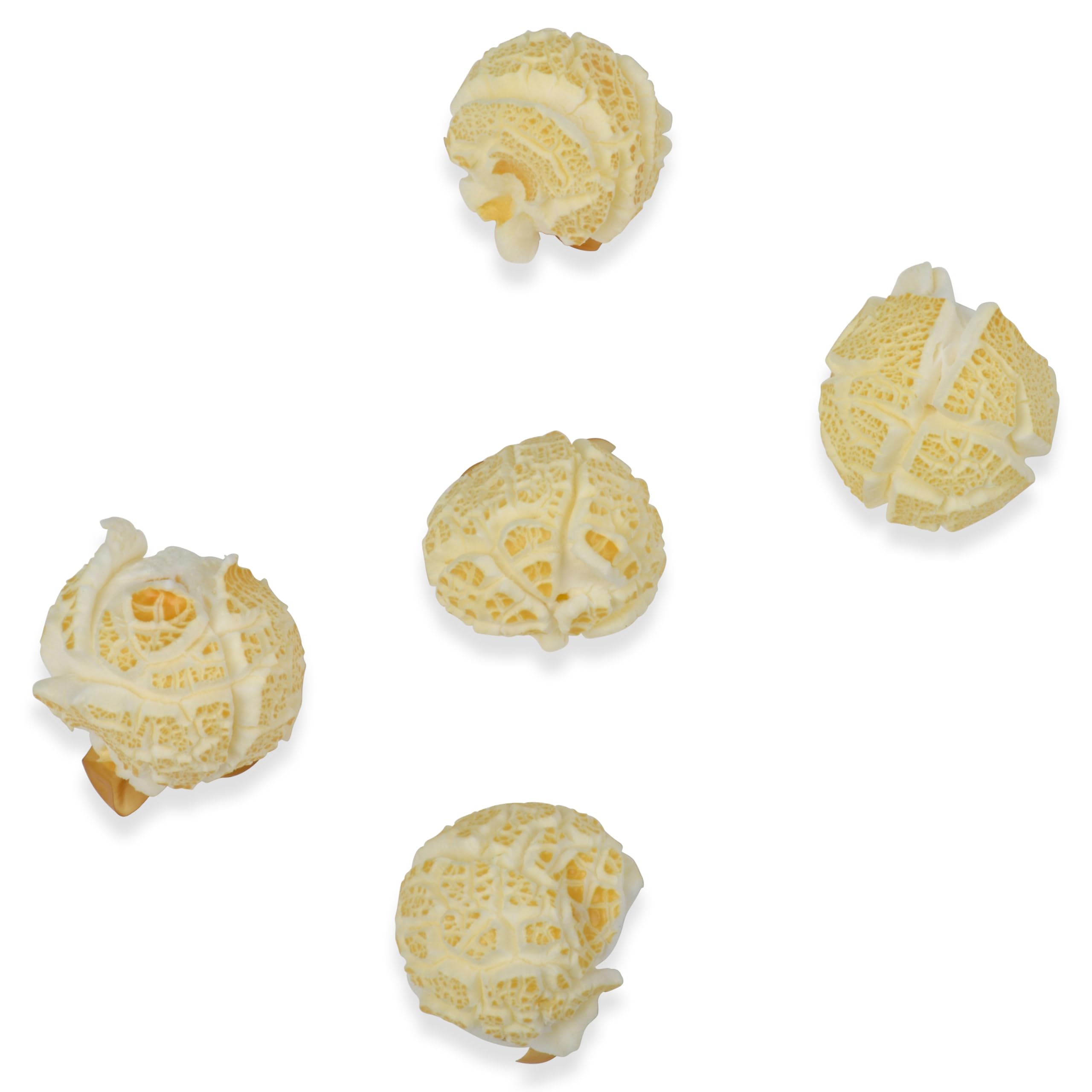 Princeton Popcorn cocinado en olla con aceite pop grande y menos granos sin estallar