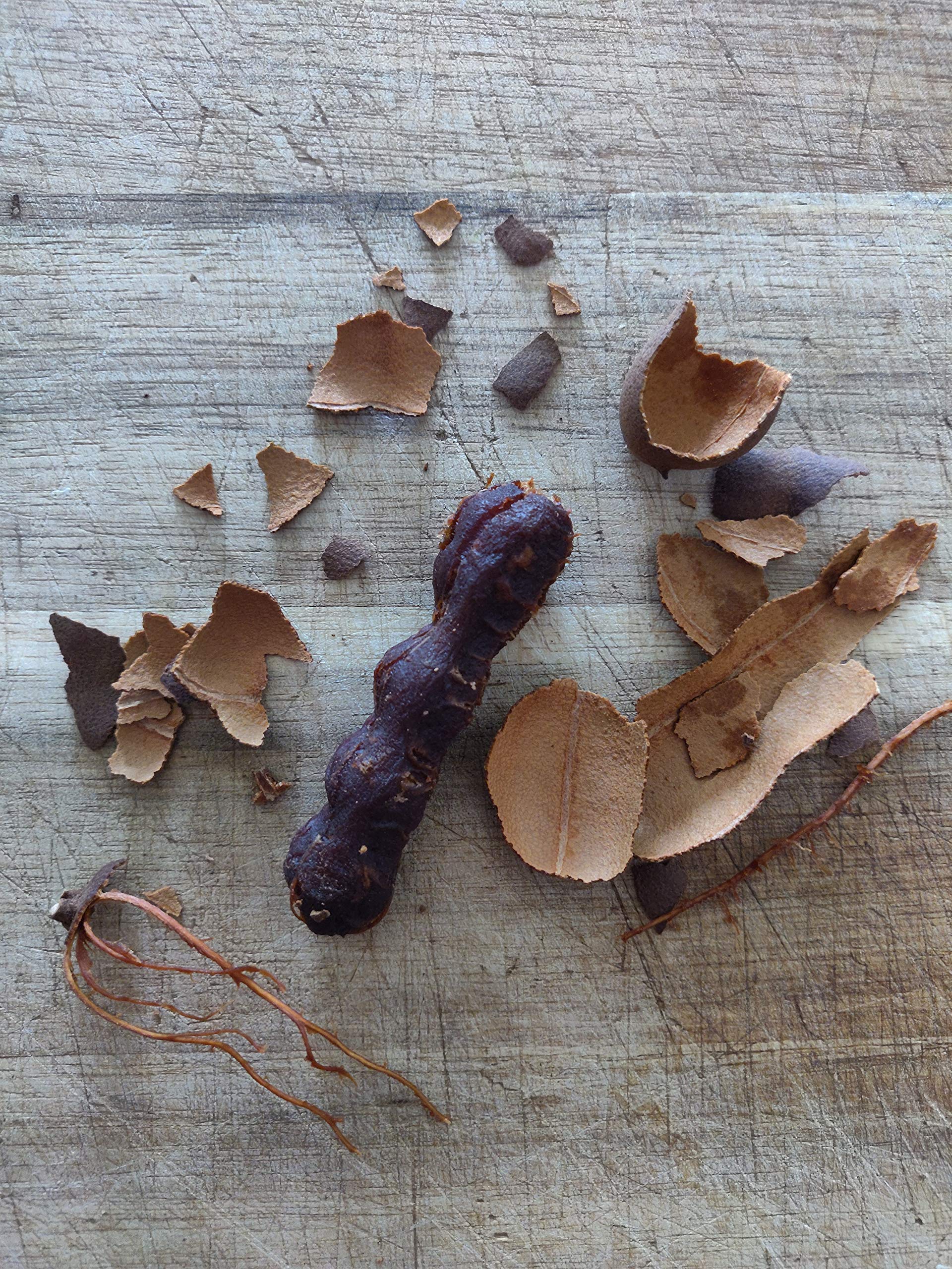 PURE INDIAN FOODS marinado de carne con tamarindo realza jugosidad