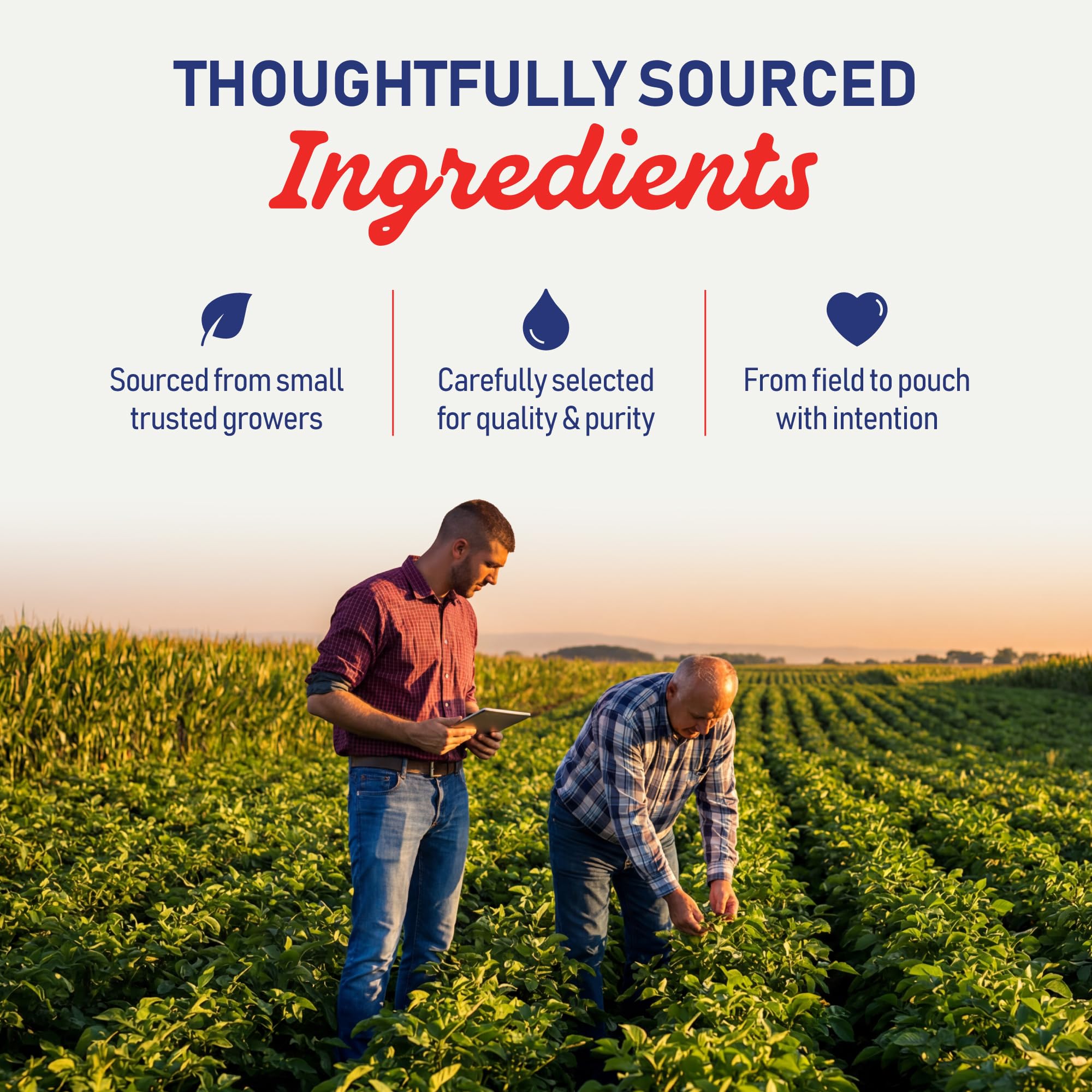 PureGood espirulina azul en smoothie, aporta color atractivo y natural