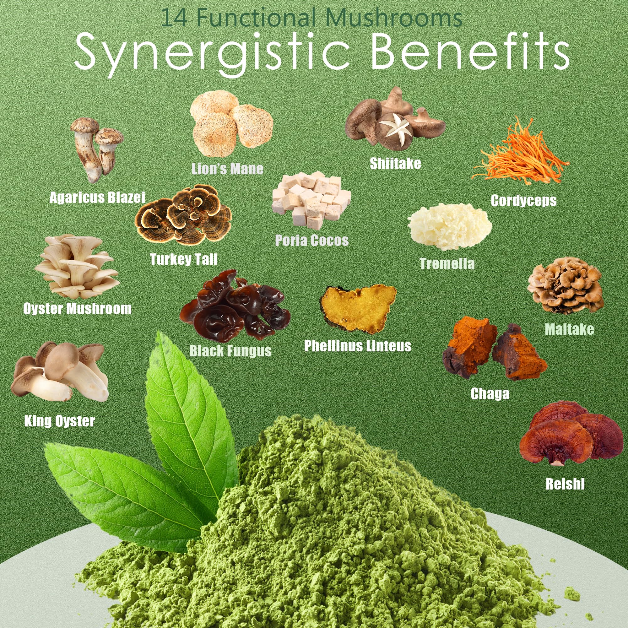 QIN SHAN TANG matcha con hongos en primer plano, sabor terroso equilibrado