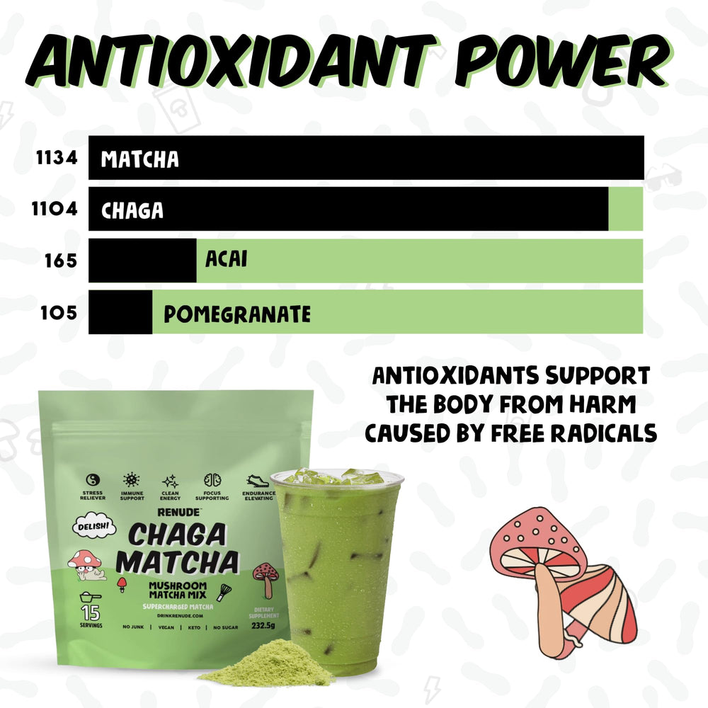 Renude ingredientes orgánicos: cacao, canela y chaga dispuestos, calidad natural