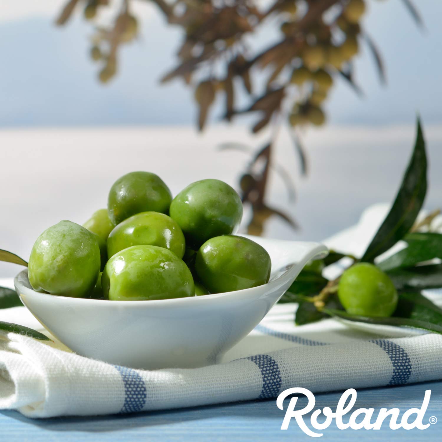 Roland Foods comparación de tamaño con mano, muestra porciones y escala práctica