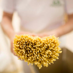Rustichella d'Abruzzo rigatoncini en gricia con pecorino y panceta, textura equilibrada