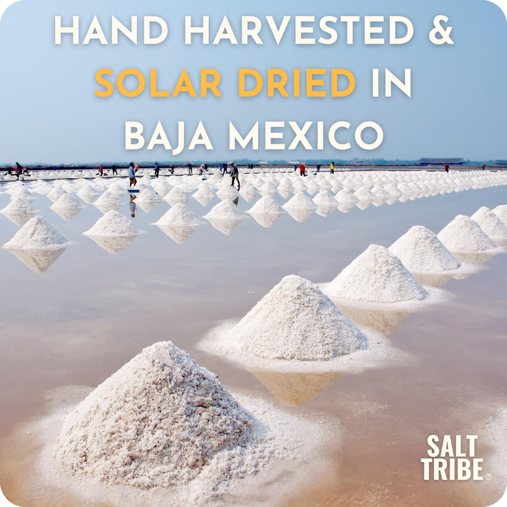 Salt Tribe comparación de tamaño con cucharita para porción exacta