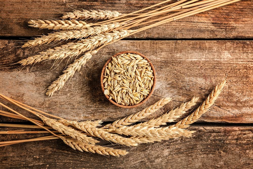 Sanniti ambientación en cocina artesanal para inspirar recetas caseras