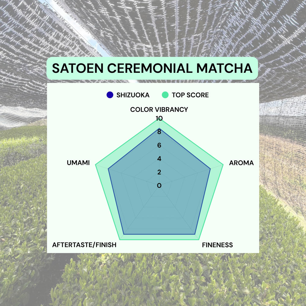 SATOEN GROUP matcha batido en bol con espuma cremosa y sabor auténtico