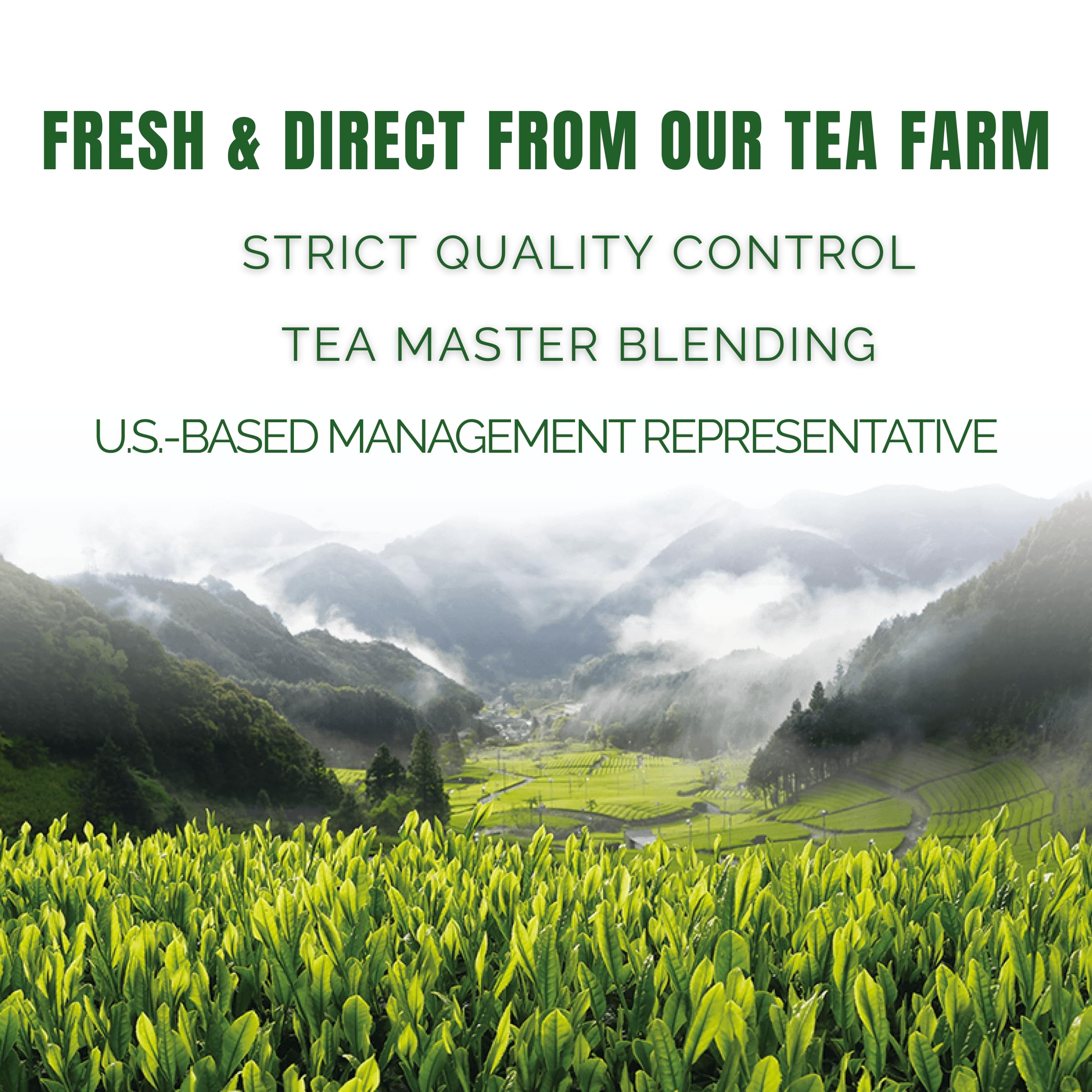 SATOEN GROUP matcha usado en pastel para sabor y color consistentes