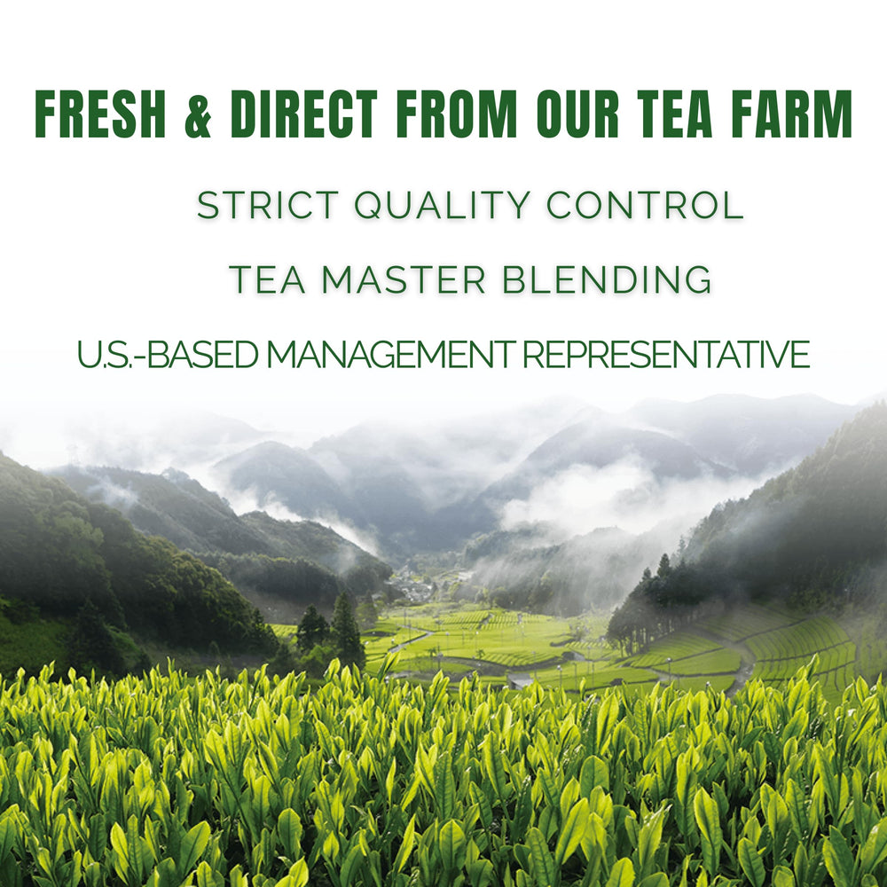 SATOEN GROUP matcha usado en pastel para sabor y color consistentes