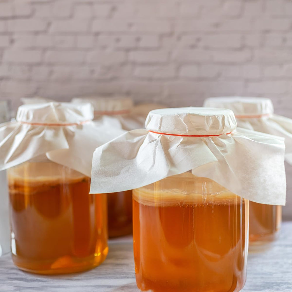 Scoby Kombucha SCOBY sumergido en líquido iniciador para iniciar fermentación