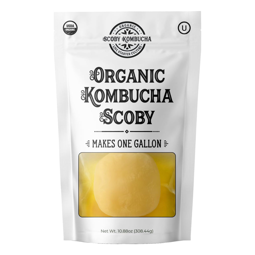 Scoby Kombucha envase frontal mostrando SCOBY y té iniciador, listo para fermentar