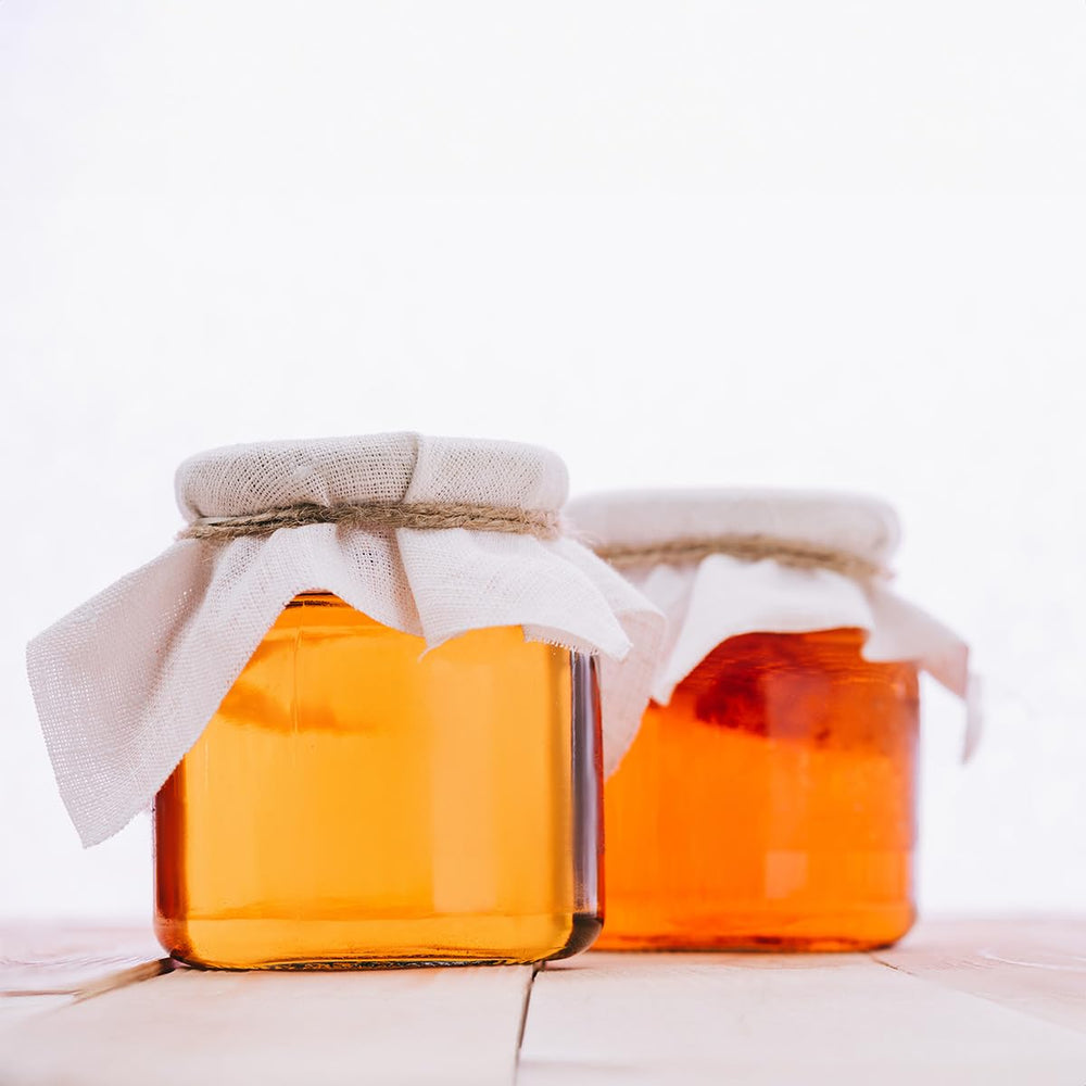 Scoby Kombucha comparación de tamaño del SCOBY junto a una taza para escala